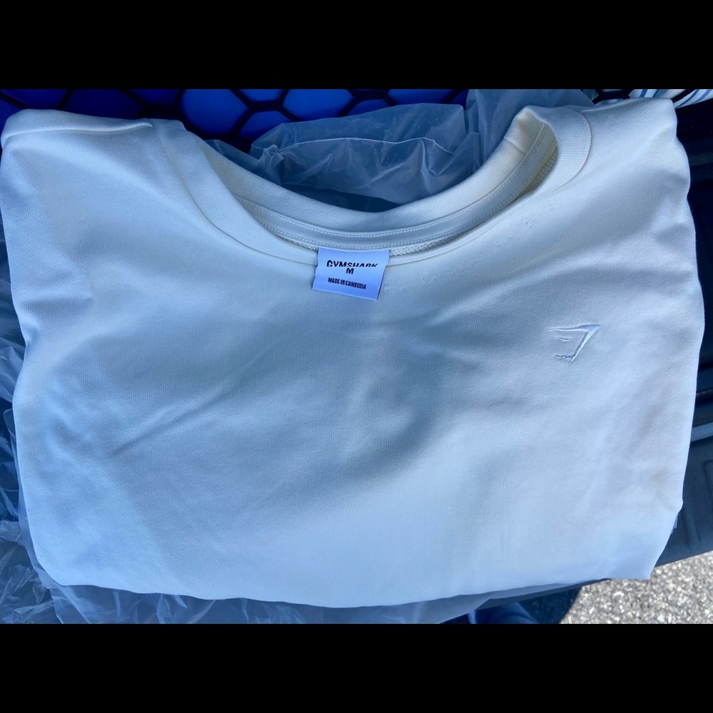Whitney Simmons cropped sweatshirt